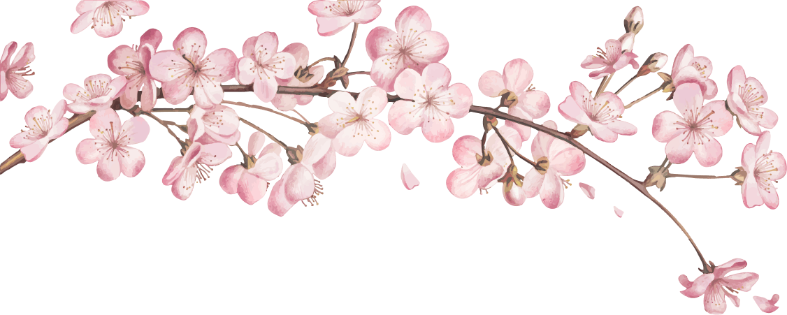 Magnolias For Ever Magnolias For Ever