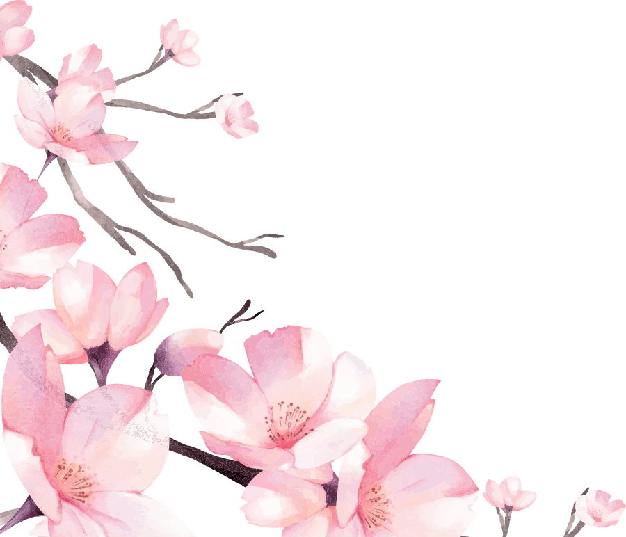 Magnolias For Ever Magnolias For Ever