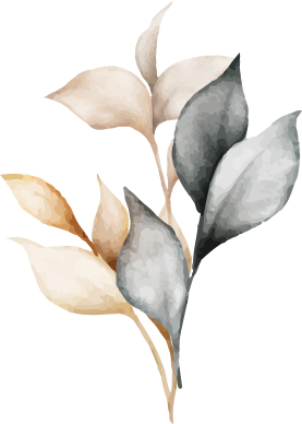 Magnolias For Ever Magnolias For Ever