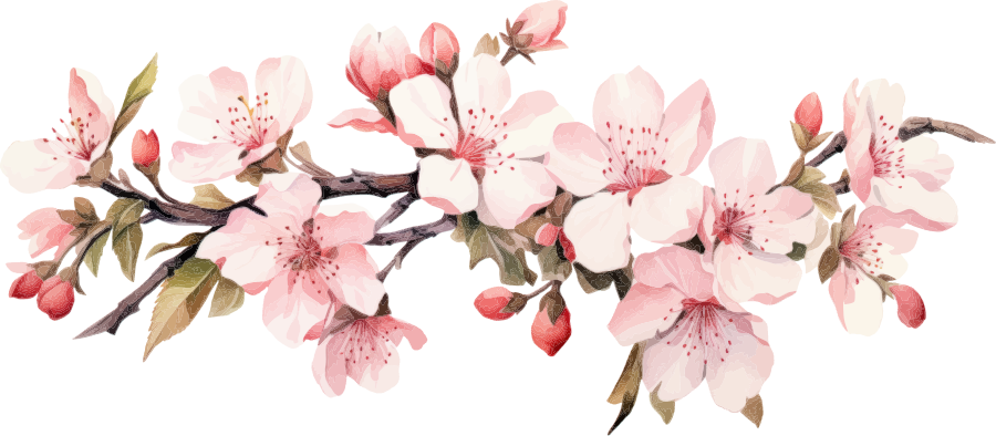 Magnolias For Ever Magnolias For Ever