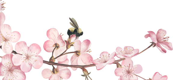 Magnolias For Ever Magnolias For Ever