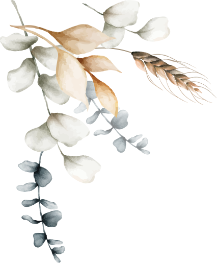 Magnolias For Ever Magnolias For Ever