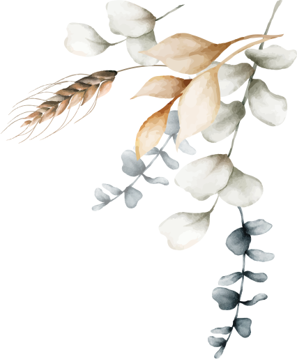 Magnolias For Ever Magnolias For Ever